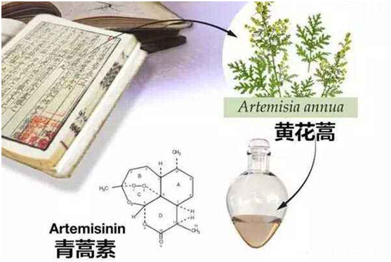 乐动注册,乐动(中国)：向中医药看齐，与世界共享中医药文化(图1)